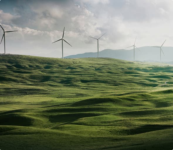 Electricity blackout on 28 April: Walmeric's impact and response